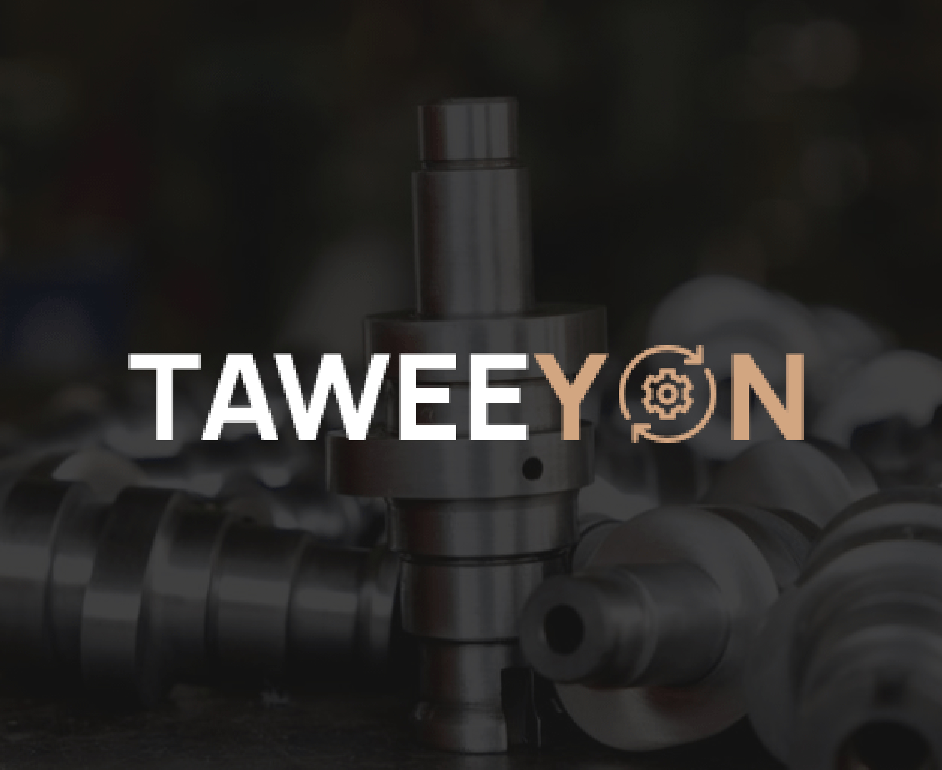 TAWEEYONG AUTOPARTS-